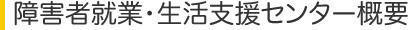 障害者就業・生活支援センター概要